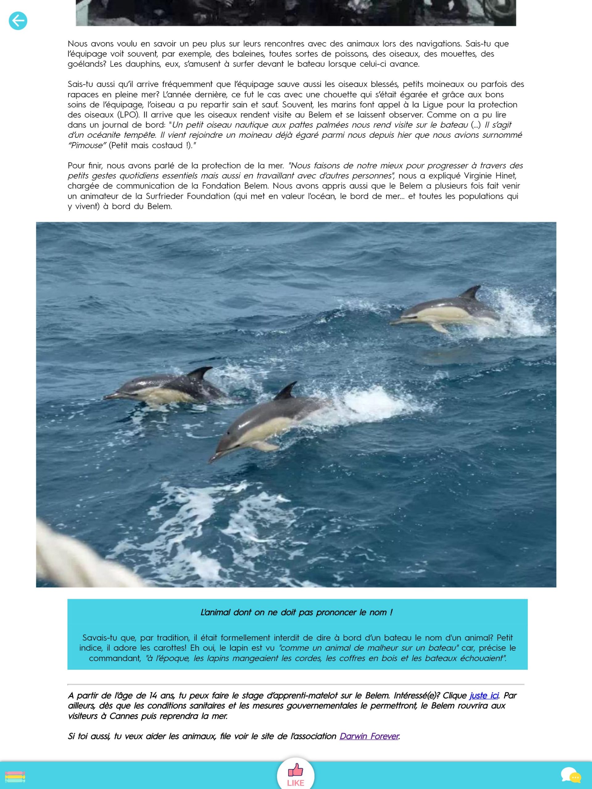 belle rencontre gibet