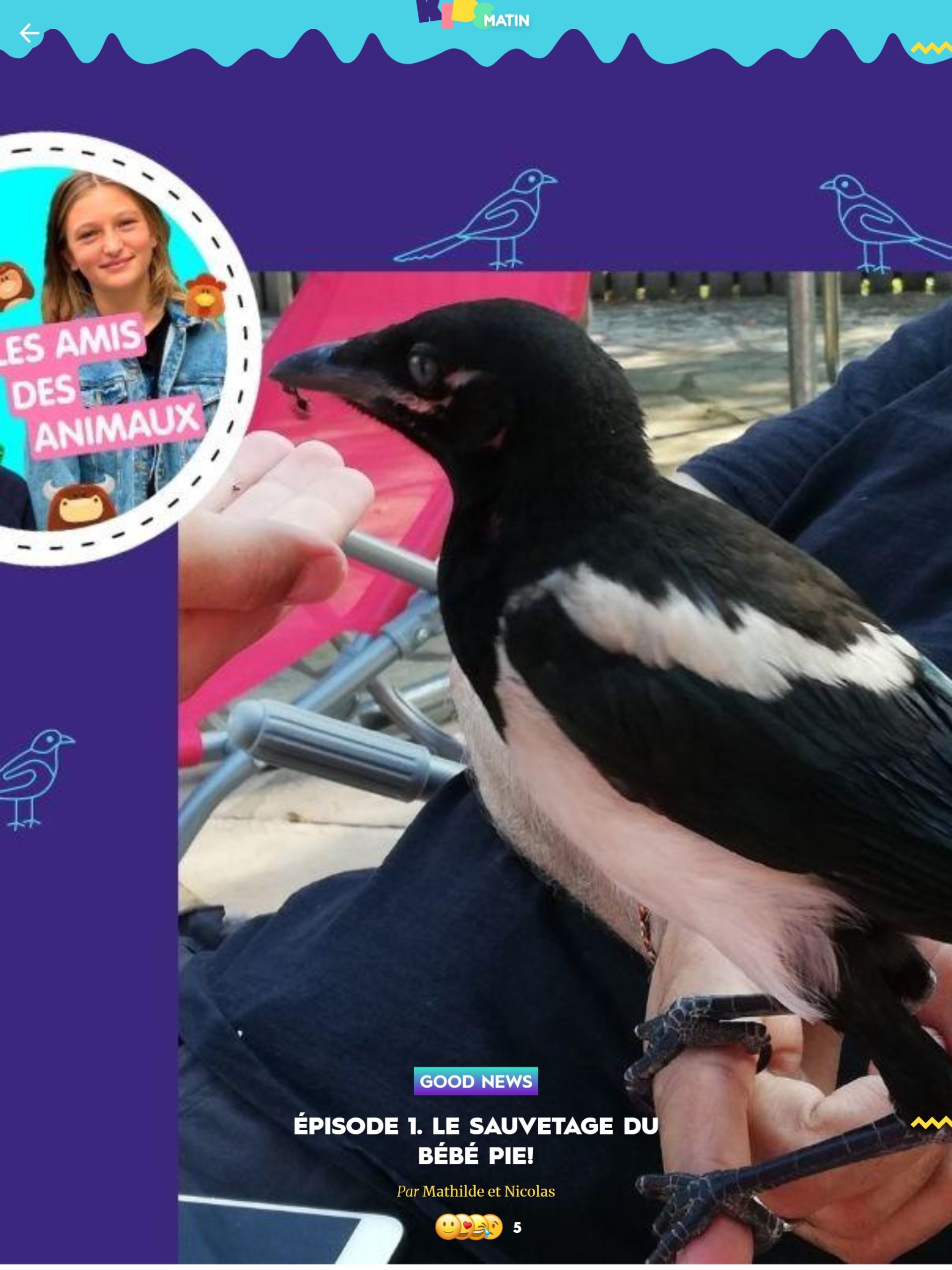 Chronique Les Amis Des Animaux Sauvetage Du Bebe Pie Blacky Darwin Forever